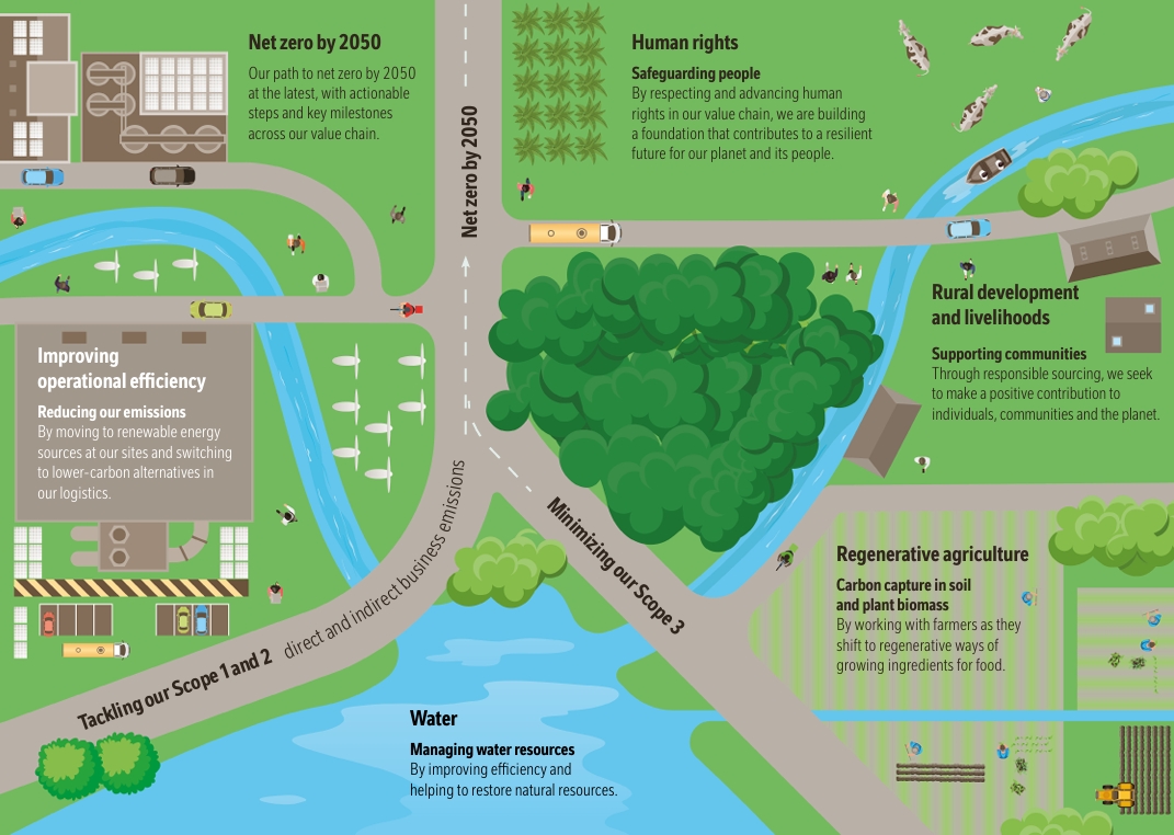 Our approach infographic