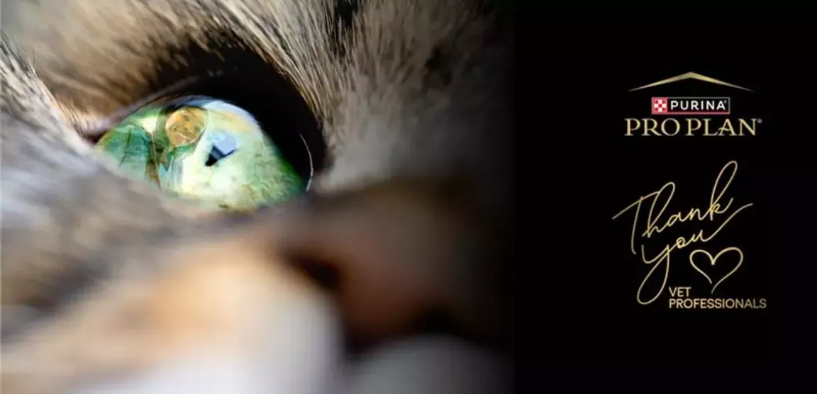 purina