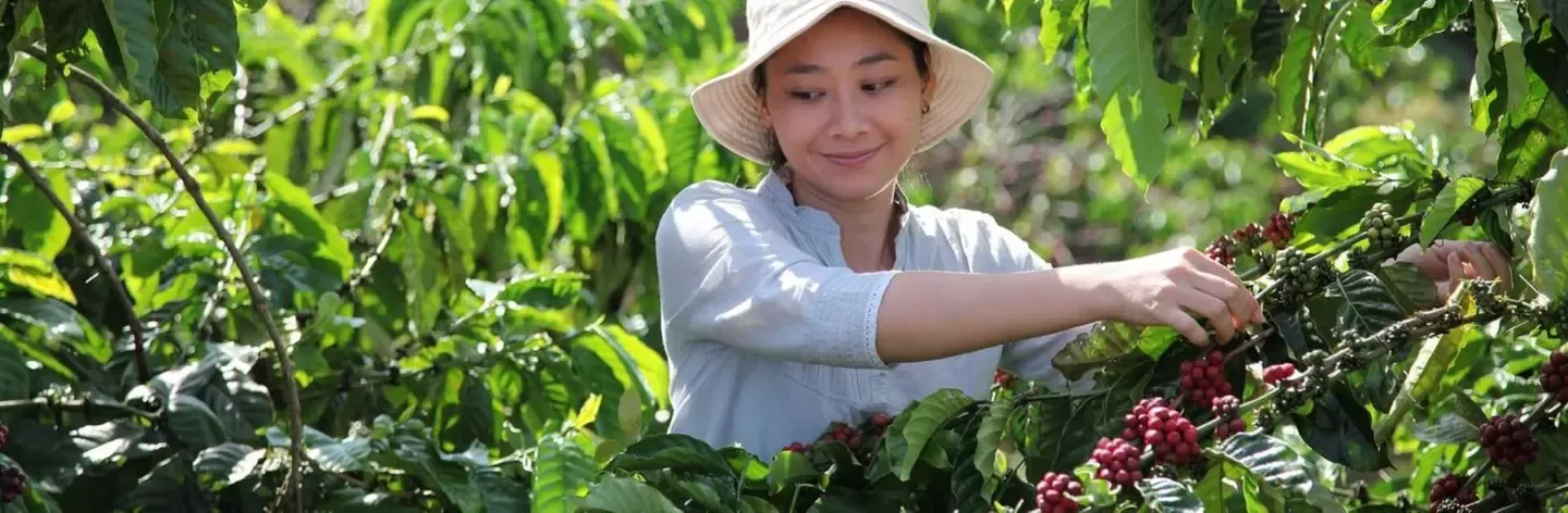 Nescafé Plan 2030