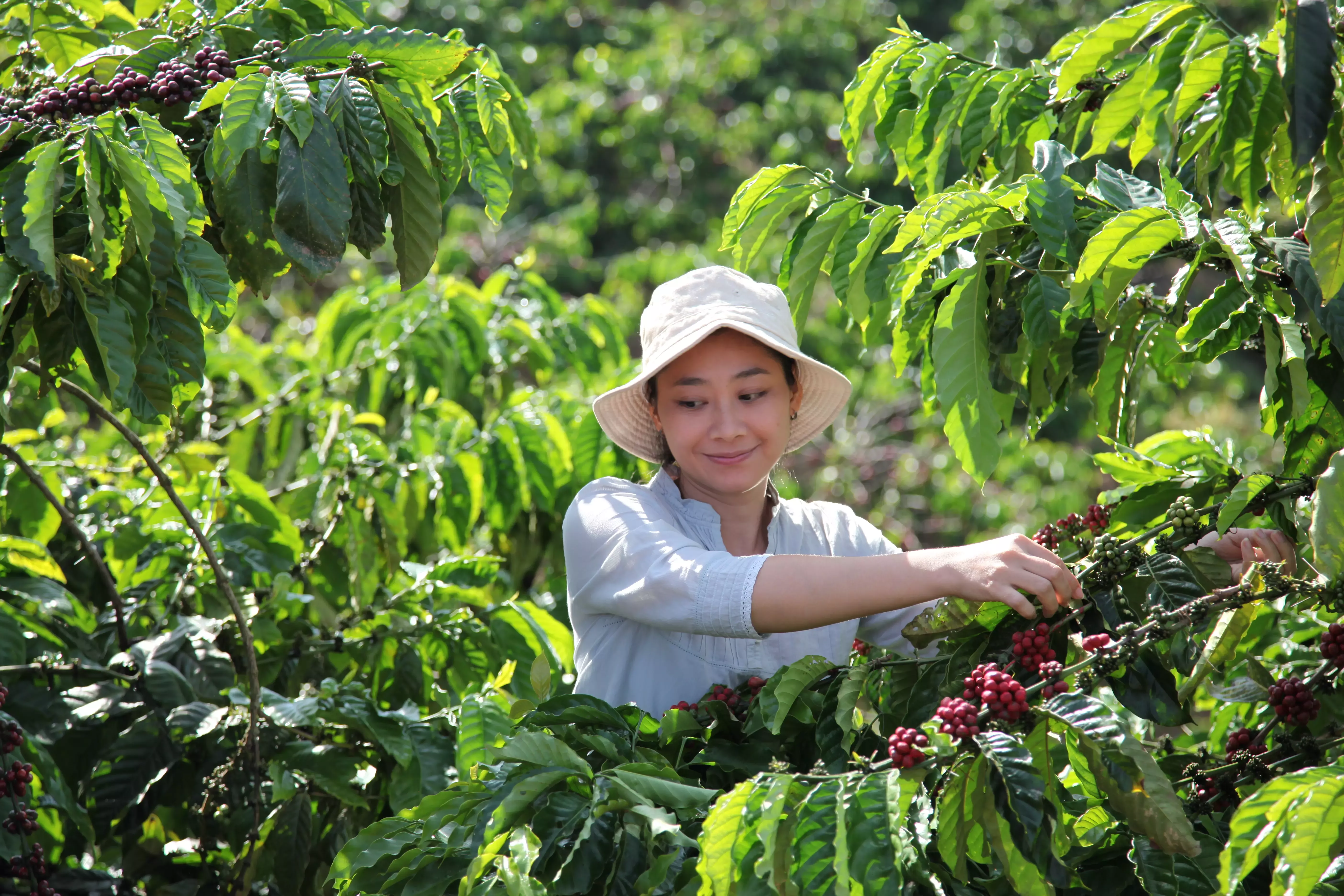 NESCAFÉ Plan 2030