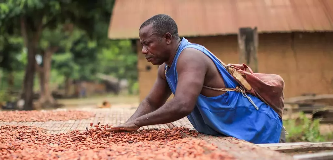 Regeneration farmer