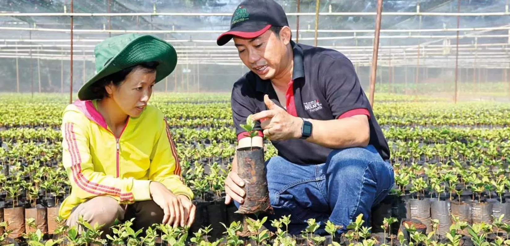 Sustainability coffee education wide