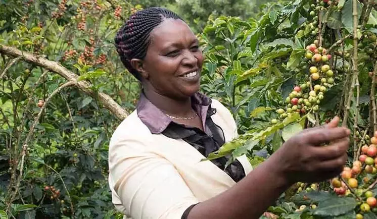 Sustainability coffee female farmer slider